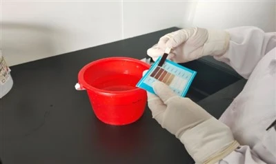 Papermaking additives کی جانچ